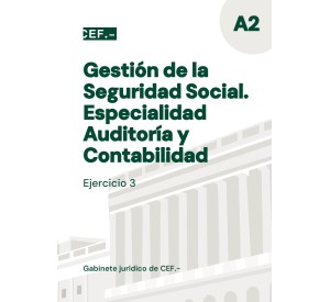 Gestión de la Seguridad Social. Auditoría y Contabilidad. Ejercicio 3