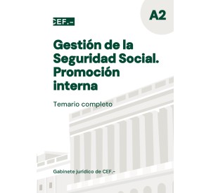 Gestión de la Seguridad Social. Promoción interna