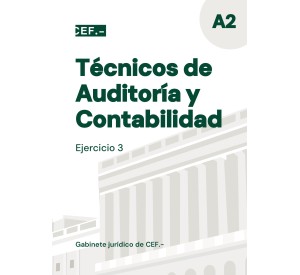 Técnicos de Auditoría y Contabilidad. Ejercicio 3